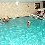 Palmeras Payallar