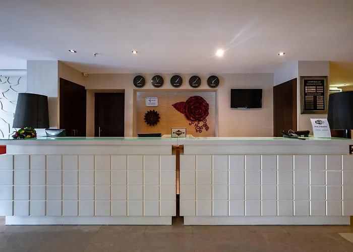 酒店 Palmeras Payallar