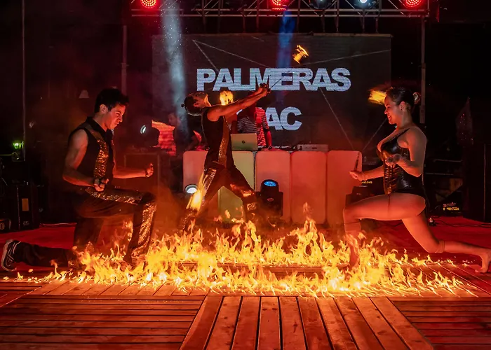 酒店 Palmeras Payallar