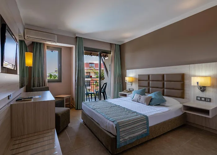 酒店 Palmeras Payallar