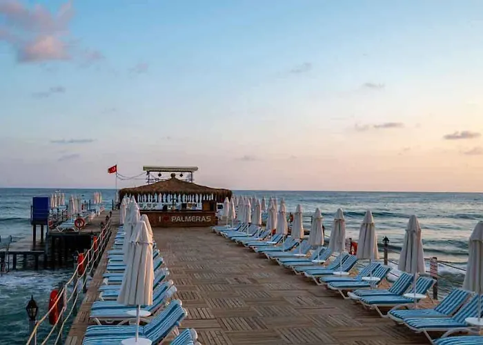 Palmeras 5*